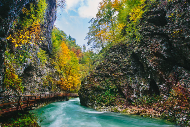 The famous Vintgar gorge Canyon with wooden pats, Bled, Triglav, Slovenia, Europe
 - Фото, изображение