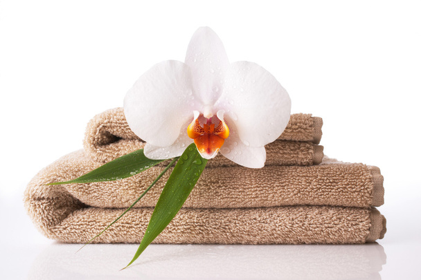 Close up de toalha e orquídea
 - Foto, Imagem