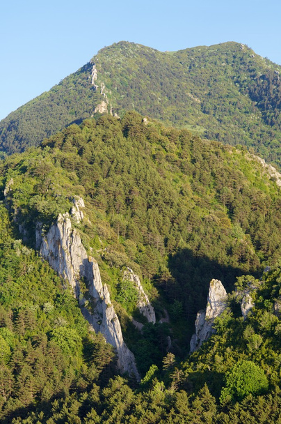 サント ・ ドミンゴの山 - 写真・画像