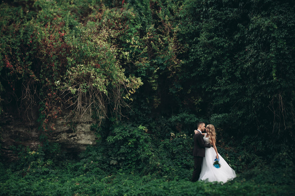 Luxury wedding couple hugging and kissing on the background gorgeous plants and cave near ancient castle - Фото, изображение