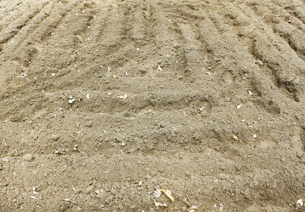 Garden soil - Photo, Image