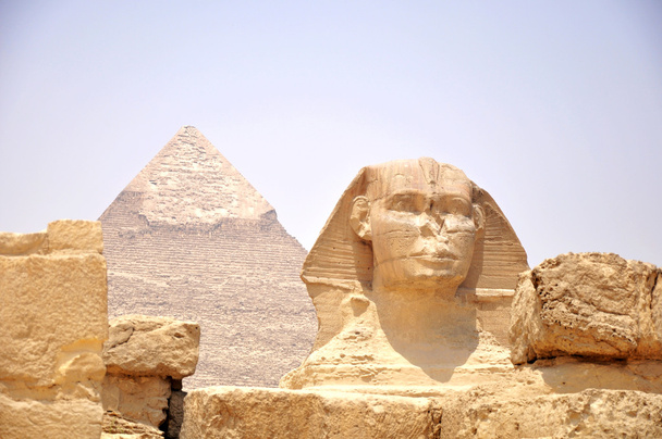 Sphinx in front of Pyramid Giza - Photo, Image