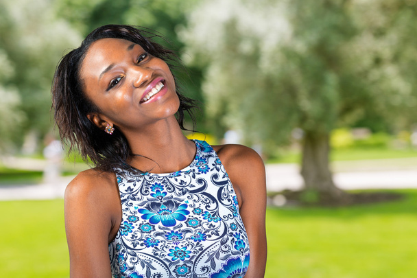 Afrikkalainen amerikkalainen nainen hymyilee
 - Valokuva, kuva