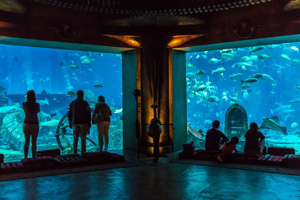 Large aquarium in Hotel Atlantis in Dubai - Foto, afbeelding