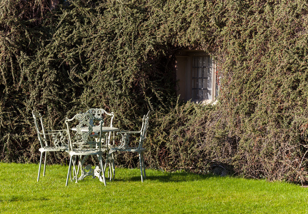 zahradní stůl a židle na trávníku - Fotografie, Obrázek