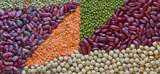Trianges of legumes - Photo, Image