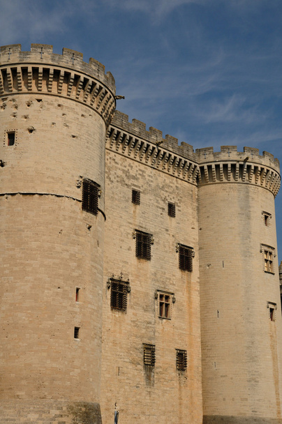 France, medieval castel of Tarascon in Provence - Zdjęcie, obraz