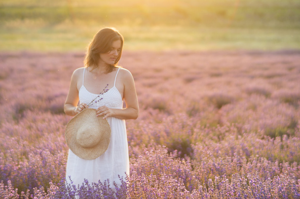 Golden peace in lavender field - Photo, Image