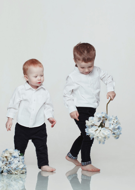 cute little boys  with flowers - Фото, изображение