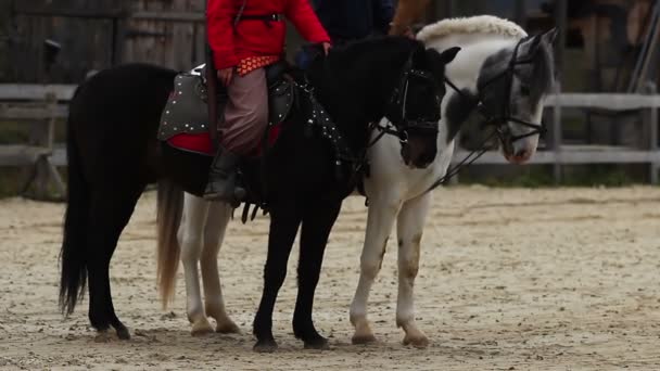 A középkorban. Követeket ló-lovas felolvasott egy királyi rendelet a falusiak - Felvétel, videó