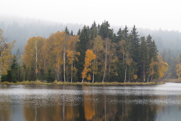 Осенний лес на берегу озера
 - Фото, изображение