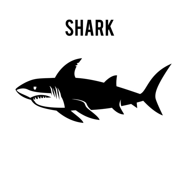 Great white shark sign logo on a white background. - ベクター画像
