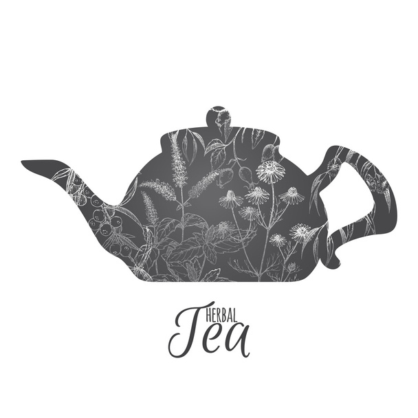 Tea pot decorated with hand drawn and herbs on white background. - Vector, Image