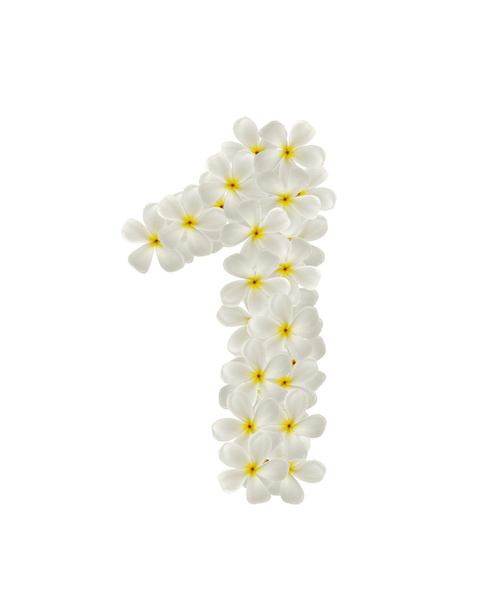 Numbers one made of tropical flowers frangipani(plumeria) - Photo, Image