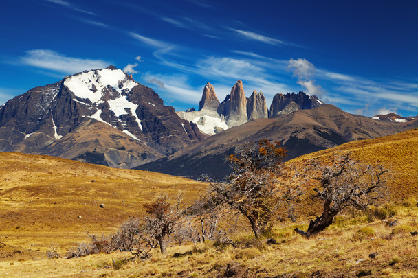 Torres chile del paine, patagonia, - Foto, imagen