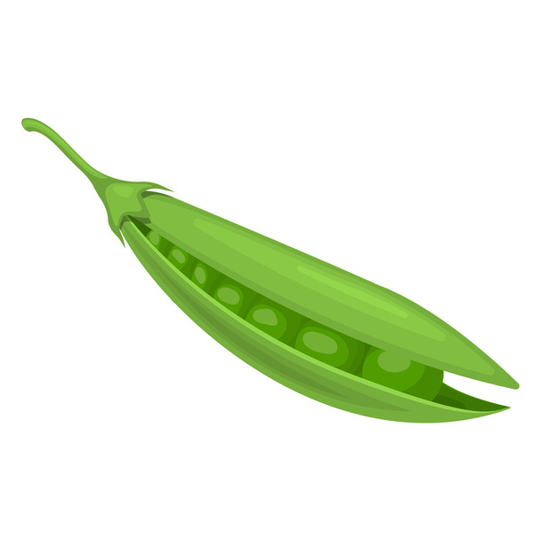 Vector illustration of peas - Vettoriali, immagini