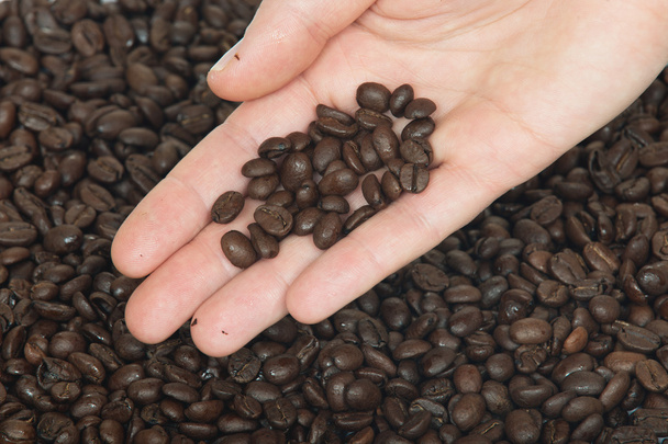 Kaffeebohnen Hintergrund - Foto, Bild