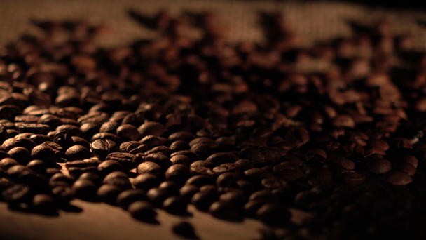 Coffee beans with star anise on barrel, cam moves to the right, shadow - Footage, Video