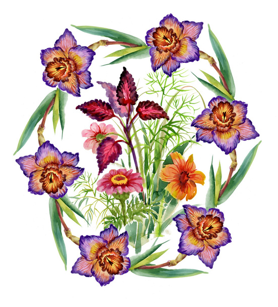 blooming narcissus flowers - Zdjęcie, obraz