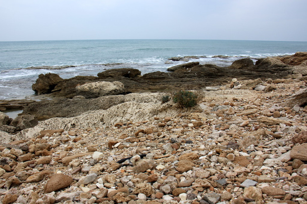 地中海の海岸の岩 - 写真・画像