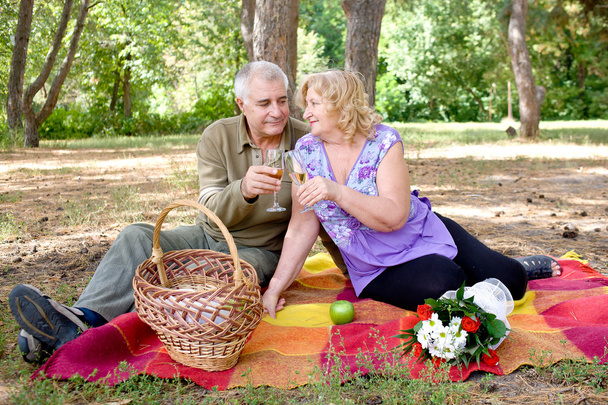 Paar picknickt im Wald - Foto, Bild