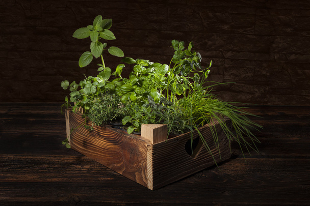 Herbs in wooden crate. - Photo, Image