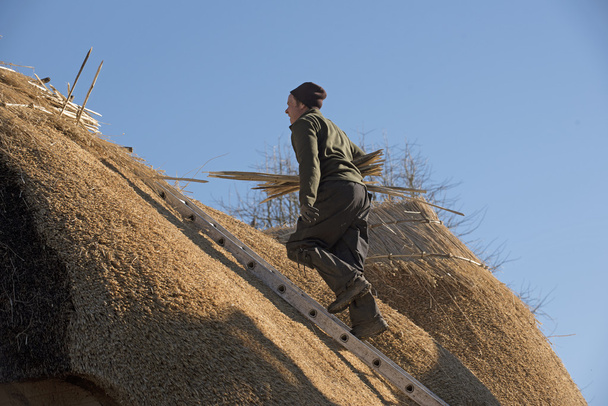 Thatcher working on the roof of a house - Photo, Image