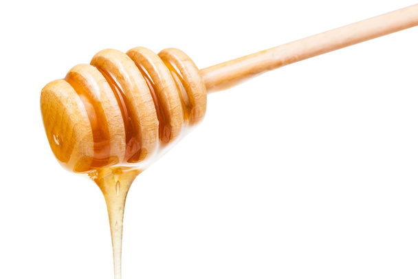 medu teče dolů z dřevěnou hůl, samostatný - Fotografie, Obrázek