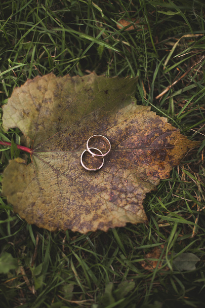 Πολυτελής γαμήλια δαχτυλίδια με κομψή διακόσμηση κοντά τους - Φωτογραφία, εικόνα