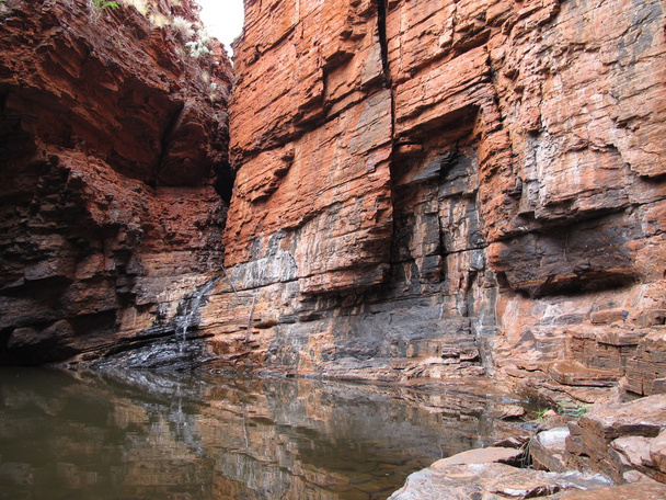 Национальный парк Кариджини, Западная Австралия
 - Фото, изображение