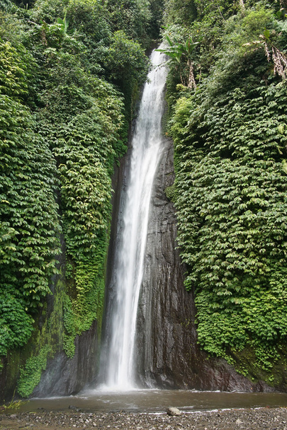 Waterfall, Bali, Indonesia - Photo, Image