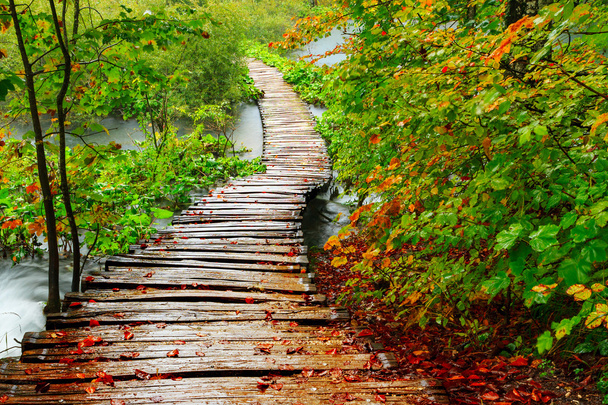 Caminho de madeira no parque nacional de Plitvice no outono
 - Foto, Imagem