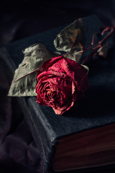 Een droge roos - Foto, afbeelding