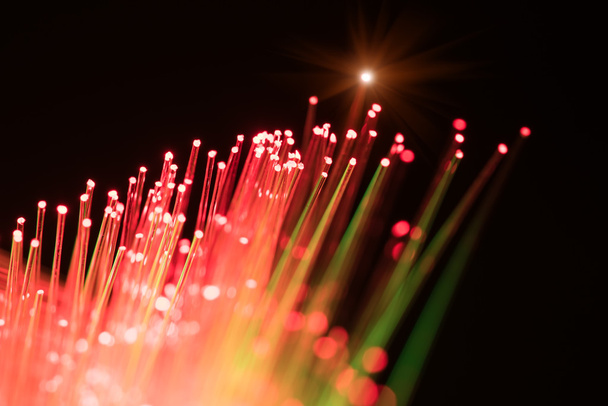 bunch of optical fibres dinamic flying from deep on technology background, blur - 写真・画像