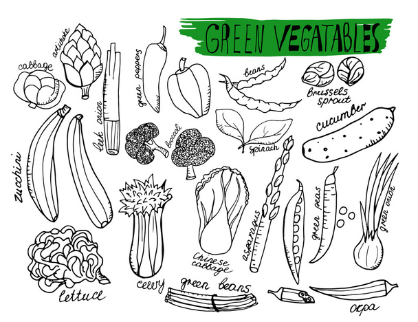 Green vegatables. Hand drawn outline vector objects - Διάνυσμα, εικόνα