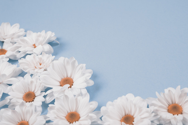 witte bloemen achtergrond - Foto, afbeelding
