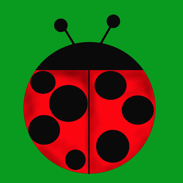 ladybug on the green - Фото, изображение