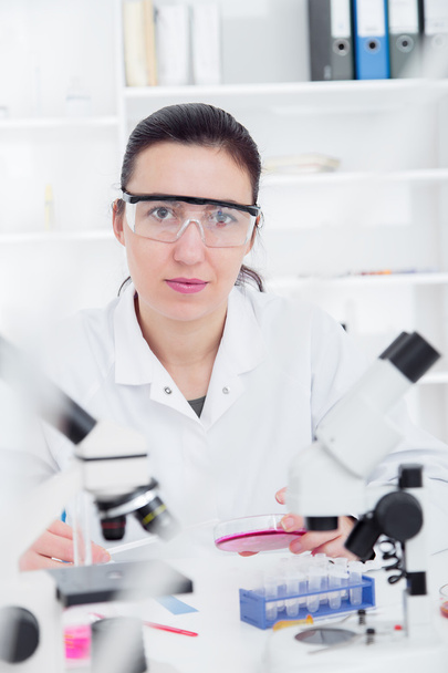 female researcher with glass equipment in the lab. - Foto, Imagen