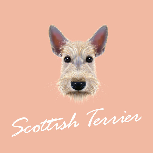 Scottish terrier pies - Wektor, obraz