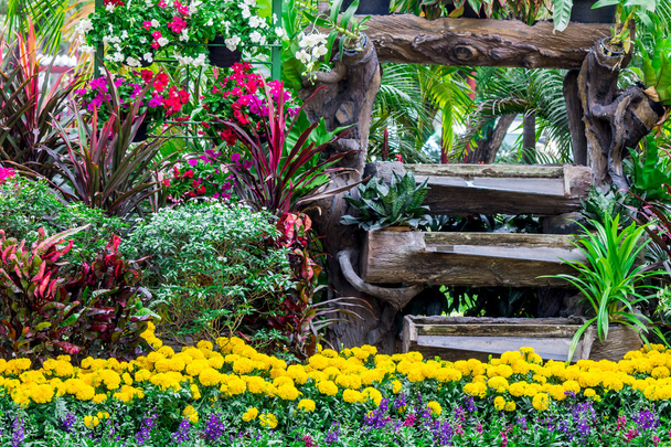 Καρεκλοπόδαρα ξύλο στον κήπο λουλουδιών. - Φωτογραφία, εικόνα