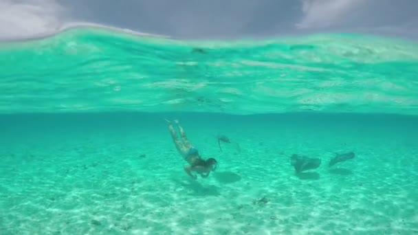 LOW MOTION: Jovem nadando debaixo d 'água com amigáveis raios de arraia
 - Filmagem, Vídeo