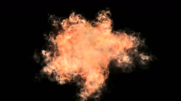 explosie brand vlam 4k - Video