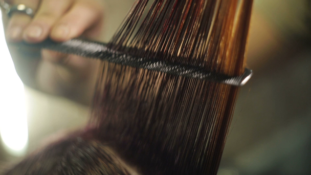 Fryzjer czesanie womans mokre włosy - Materiał filmowy, wideo