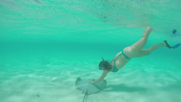 スローモーション:水中でシュノーケリングする若い女性は、フレンドリーなスティングレイをペッティング - 映像、動画