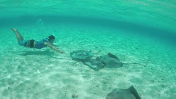 Ağır çekim: stingrays ve köpekbalıkları ile sualtı dalış genç adam - Video, Çekim