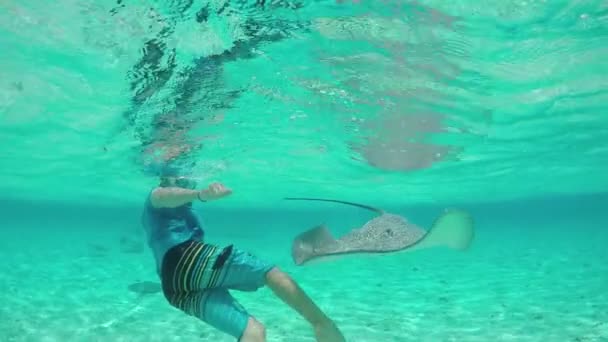 SLOW MOTION: Giovane uomo che fa snorkeling sott'acqua con razze e squali
 - Filmati, video