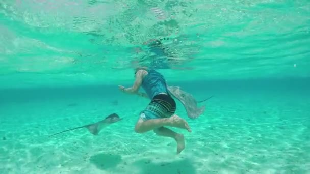 SLOW MOTION: Giovane uomo che fa snorkeling sott'acqua con razze e squali
 - Filmati, video