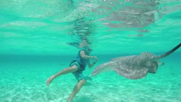 SLOW MOTION: Young man snorkeling underwater with stingrays and sharks - Πλάνα, βίντεο