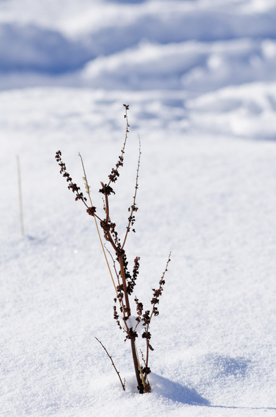 Paesaggi invernali a Val Thorens, Francia
 - Foto, immagini