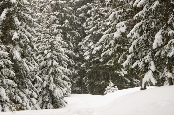 Зимова декорація, регіоні Верхня Савойя, Франції - Фото, зображення